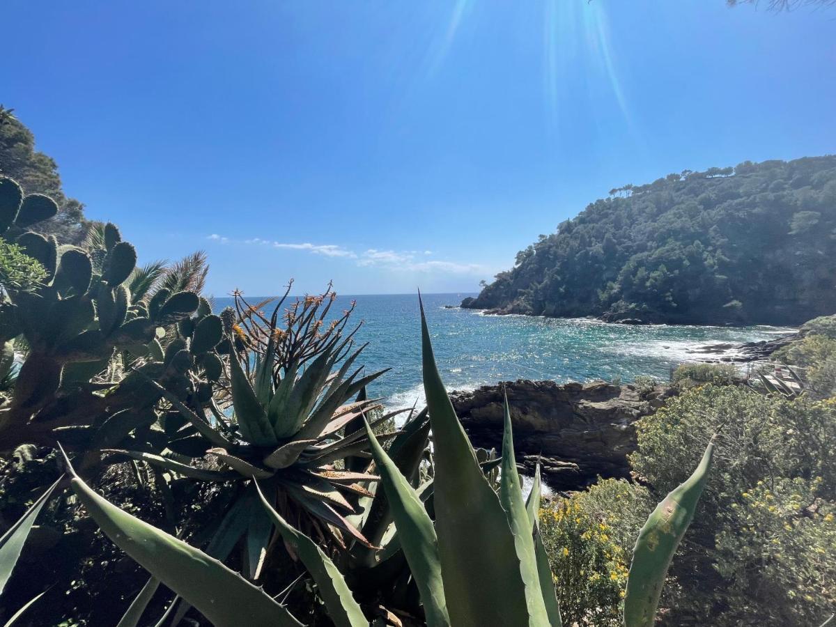 La Villa Cavalaire Εξωτερικό φωτογραφία